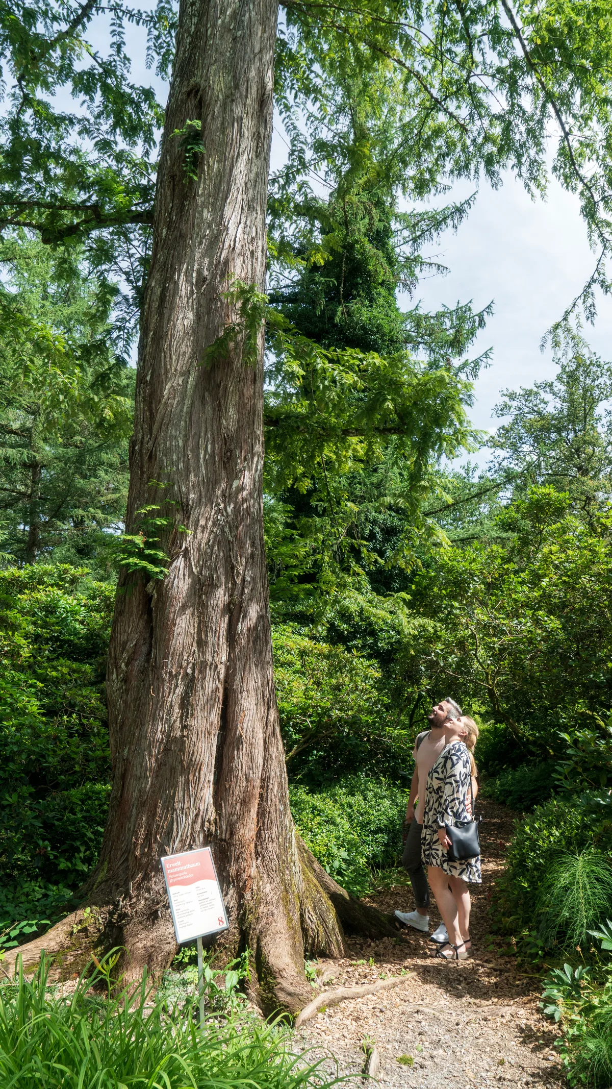 Ein Paar macht einen Ausflug in den Park Seleger Moor und betrachtet die Natur.